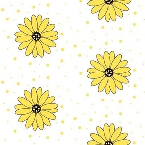 yellow and white, polka dot daisy