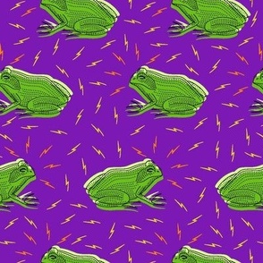 Frogs purple small