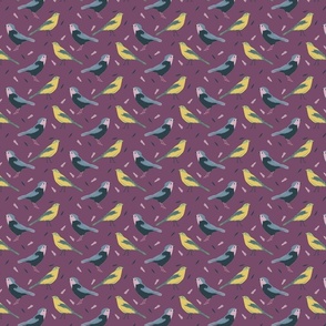 Twittering birds - jay and passerine - yellow and blue with pink background -small