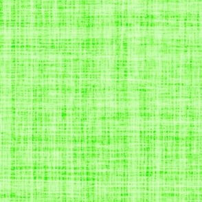 Natural Texture Gingham Checks Plaid Neutral Green Chartreuse Green Lime Green 80FF00 Woven Pattern Bold Modern Abstract Geometric