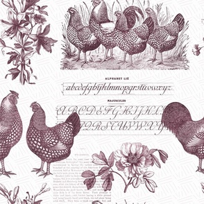 Red Toile Wyandotte Chickens