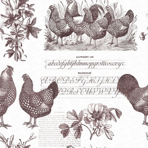 Chickens and Flowers Vintage Kitchen