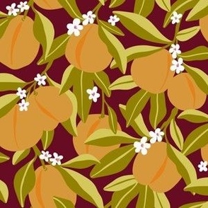 Apricot Branch (a large, dark purple background)