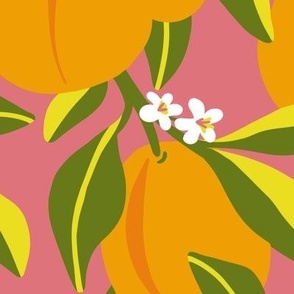 Apricot Branch (large, pink background)