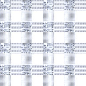 1" blueberry pi gingham, blue on white