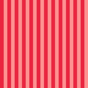 Groovy Bold Stripe Red House Light Mix 