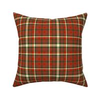 Wrapped Boxes Plaid in Chocolate Cherry Red Brown