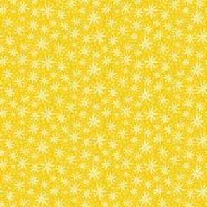 Daisys_Yellow_Buttercup_Small