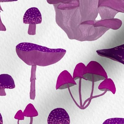 Pink and Purple Mushrooms | Large Scale