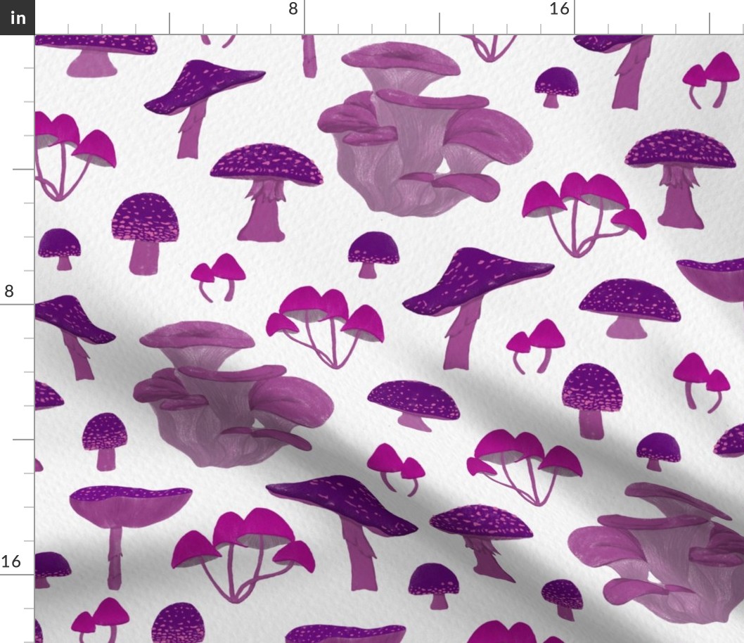 Pink and Purple Mushrooms | Large Scale