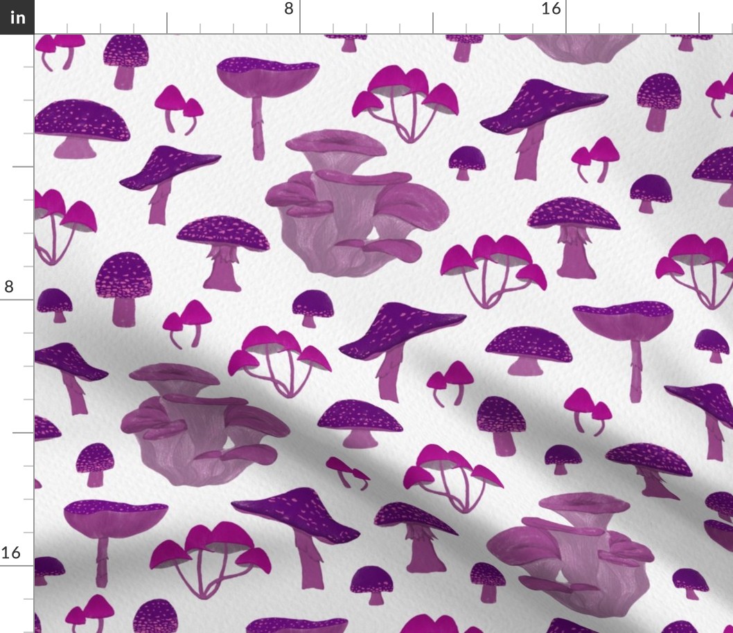 Pink and Purple Mushrooms | Medium Scale