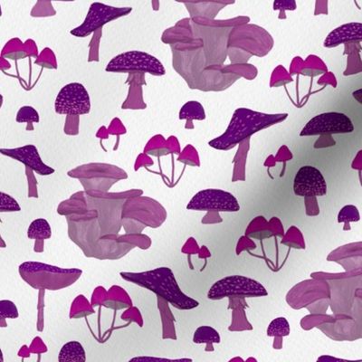 Pink and Purple Mushrooms | Small Scale