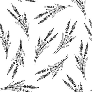 Black and White Lavender Vector Seamless Pattern