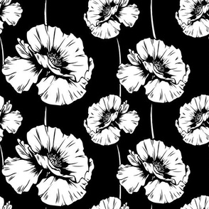 White Poppy Flower Silhouettes on Black