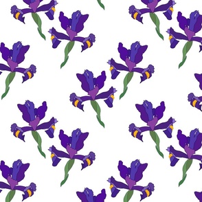 Iris Flutter! (Dutch Blue/violet) - white, medium 