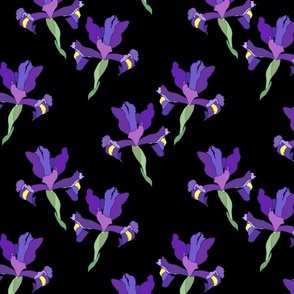 Iris Flutter! (Dutch Blue/violet) - black, medium 