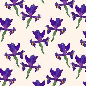 Iris Flutter! (Dutch Blue/violet) - cream beige, medium 