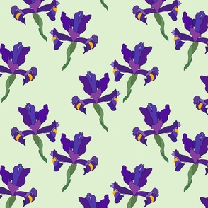 Iris Flutter! (Dutch Blue/violet) - soft jade green, medium 