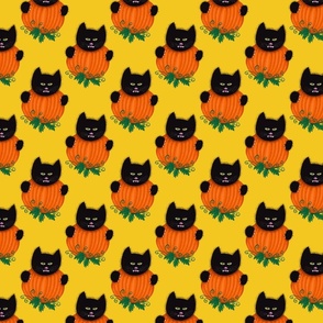 Cat Behind Pumpkin 1