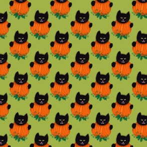 Cat Behind Pumpkin 2