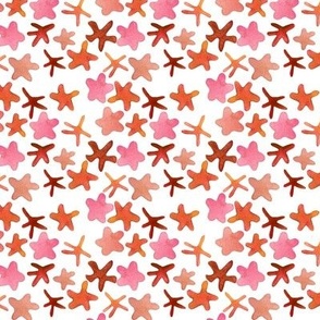 Orange and Pink Starfish 