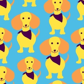 Cute Dachshund Dogs in Orange Yellow and Blue