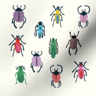 Colorful insects