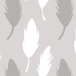 Gray and white feathers on gray background