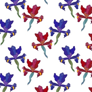 Iris Flutter! (Ruby/Sapphire) - white, medium 