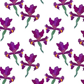 Iris Flutter! (Violet/Plum) - white, medium 