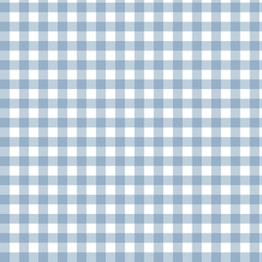 (M) Seaside Gingham Size M French Country Blue on White