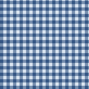 (M) Seaside Gingham Size M Southern Blue on Space Wolve Blue