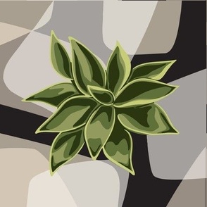 Succulent #1 - Photo Tile
