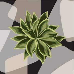 Succulent #2 - Photo Tile