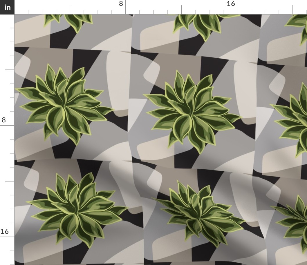 Succulent #2 - Photo Tile