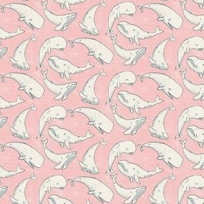 Frolicking Whales // Pink