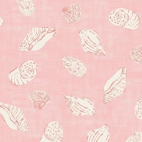 Shells // Pink