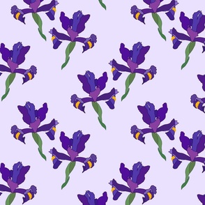 Iris Flutter! (Dutch Blue/violet) - pastel mauve, medium 