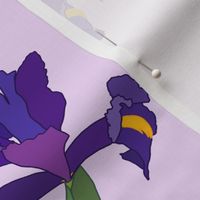 Iris Flutter! (Dutch Blue/violet) - pastel lilac, medium 