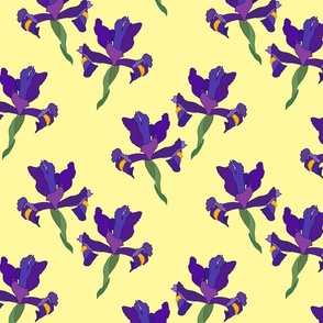 Iris Flutter! (Dutch Blue/violet) - lemon yellow, medium 