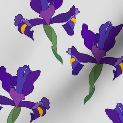 Iris Flutter! (Dutch Blue/violet) - silver grey, medium 