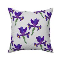 Iris Flutter! (Dutch Blue/violet) - silver grey, medium 