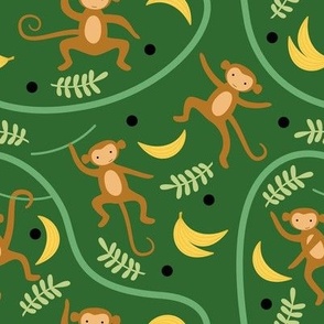 Monkey in jungle