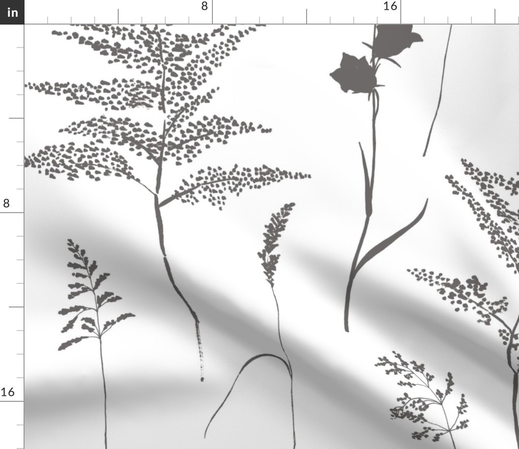 Fern, Bluebell, Grass charcoal