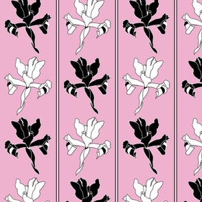 Oriental Iris Panels - black and white on cotton candy pink, medium