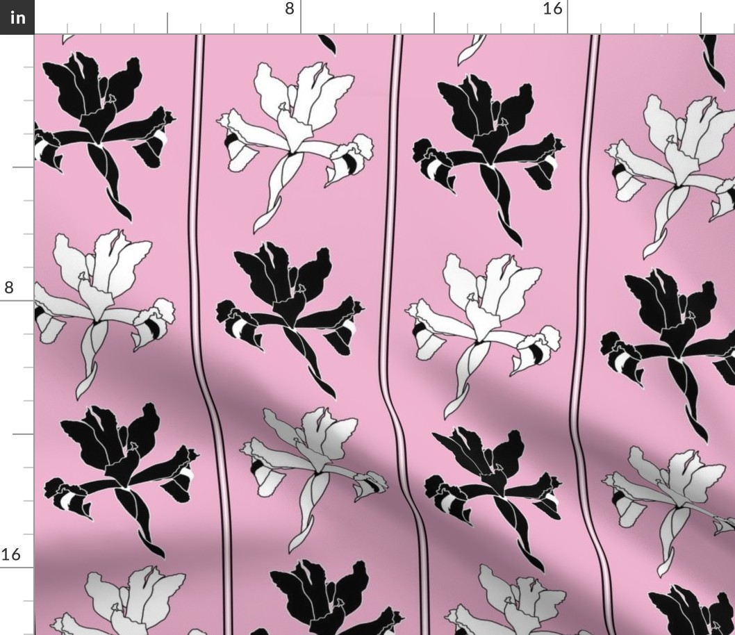 Oriental Iris Panels - black and white on cotton candy pink, medium