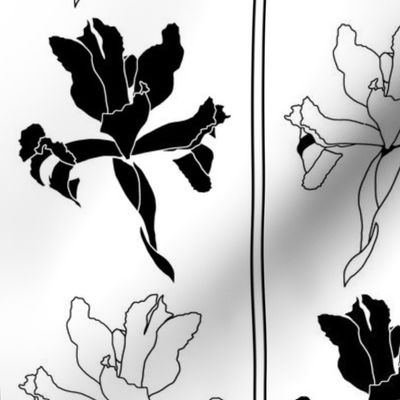 Oriental Iris Panels - black and white on white, medium