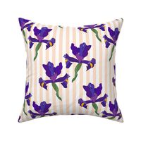 Iris Flutter! (Dutch Blue/violet) - peach stripe, medium 