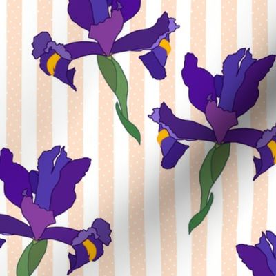 Iris Flutter! (Dutch Blue/violet) - peach stripe, medium 