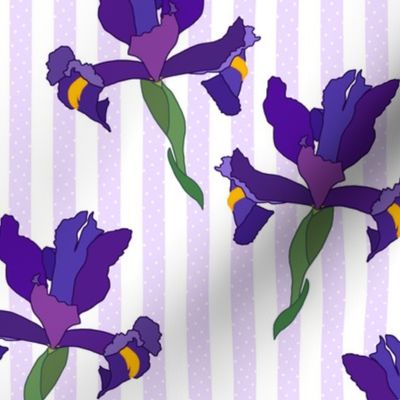 Iris Flutter! (Dutch Blue/violet) - mauve stripe, medium 
